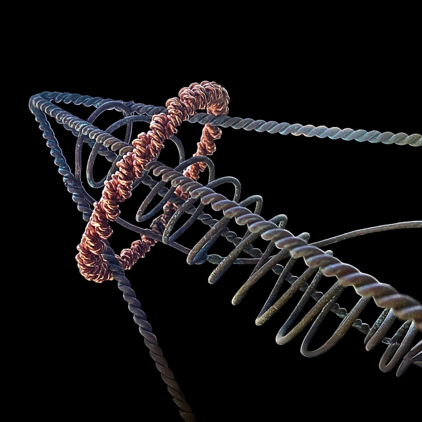 New Dimension Ring for Nugiza Harmoniser, Tensor rings, radionics, sacred geometry, copper ring, EMF protection, 5G Protection, Healing